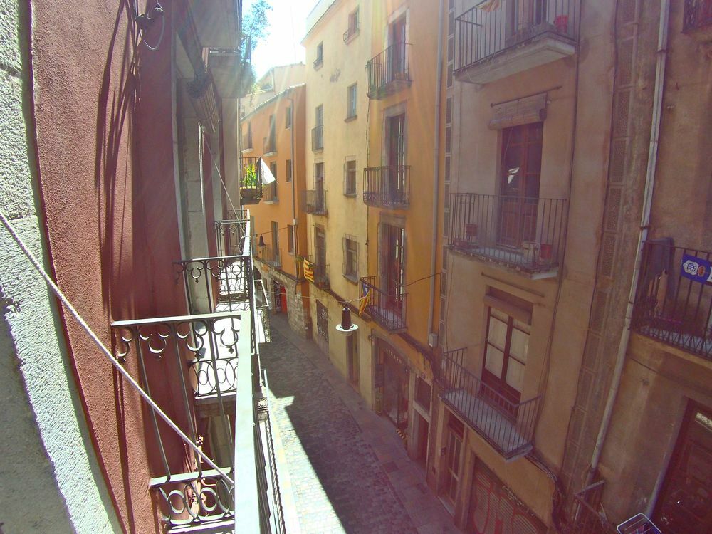 Apartment La Lleona Girona
